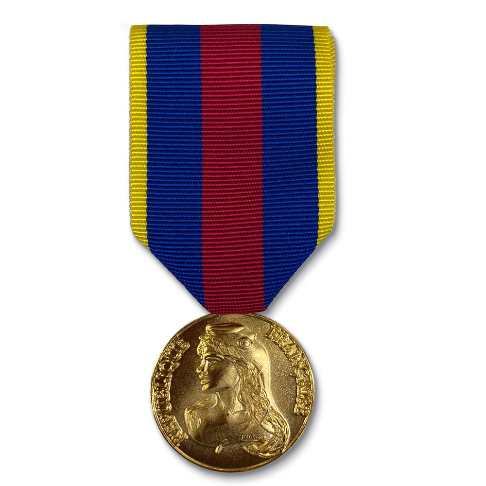 Médaille des Réservistes Volontaires de Défense et de Sécurité Intérieure - échelon or