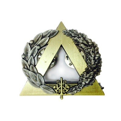 Brevet de secourisme - Trilogie - Bronze