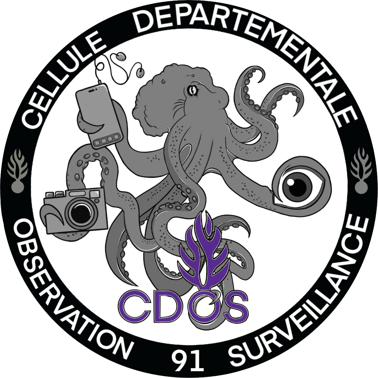 Rondache Cellule Départementale d'Observation et de Surveillance