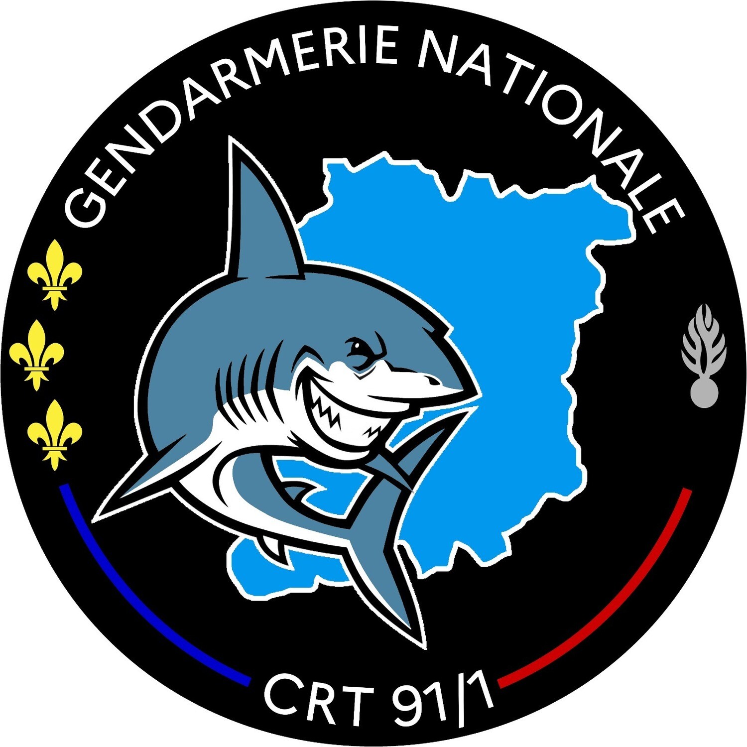 Rondache Compagnie de Réserve Territoriale 91/1