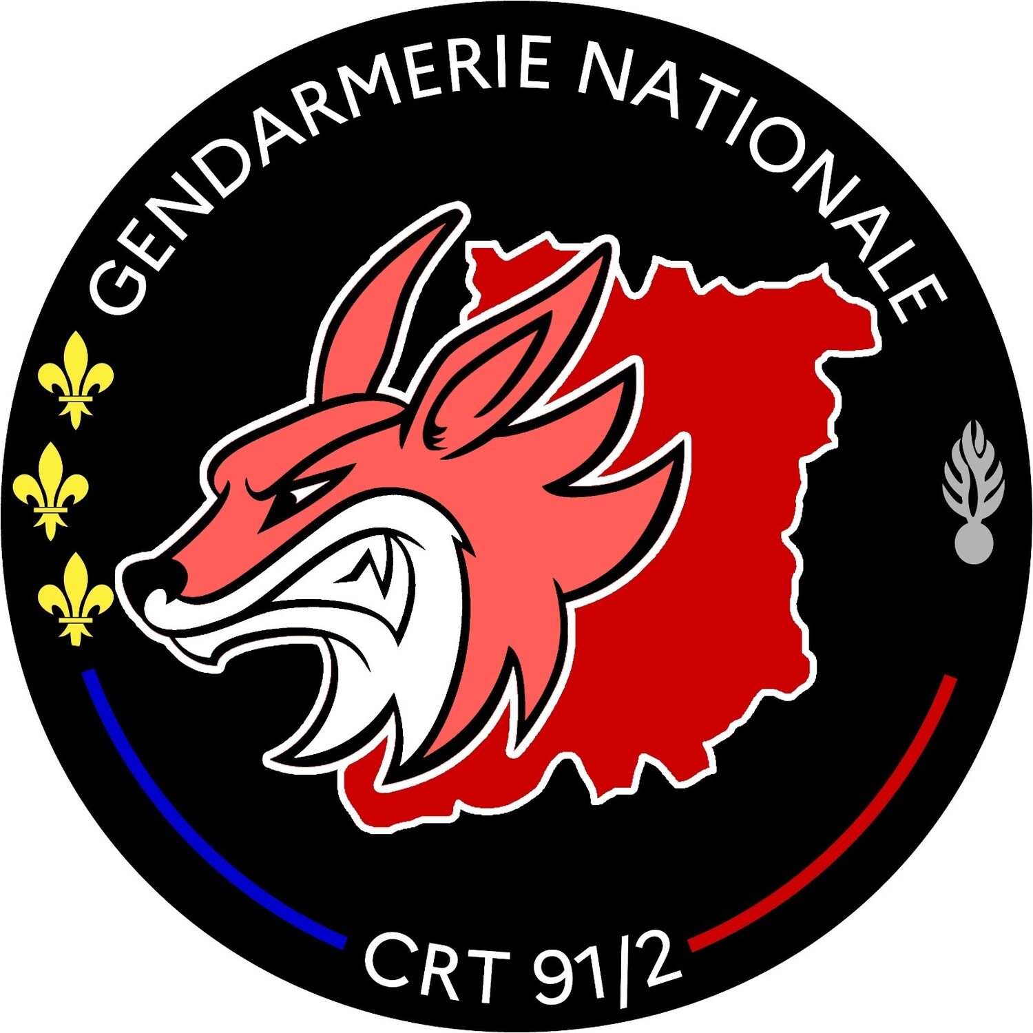 Rondache Compagnie de Réserve Territoriale 91/2