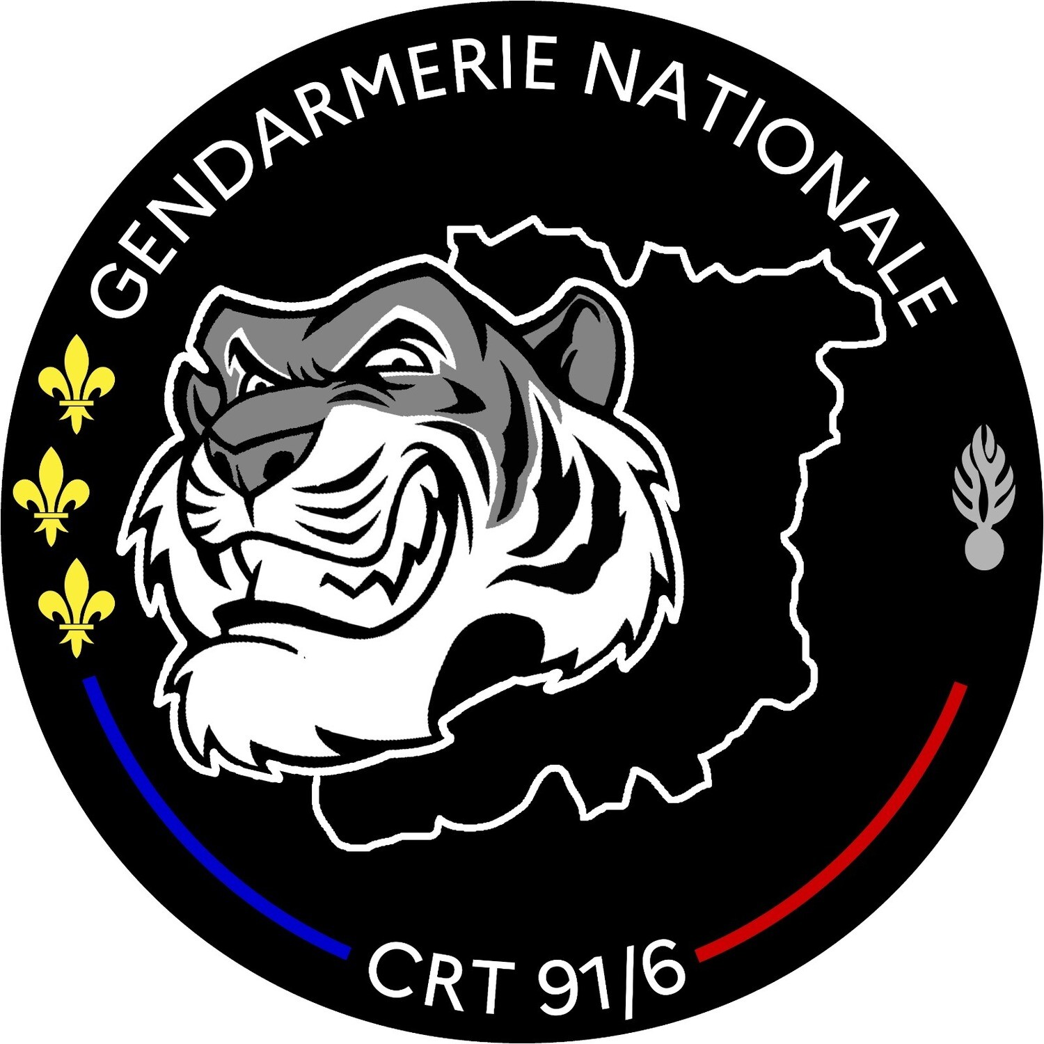 Rondache Compagnie de Réserve Territoriale 91/6