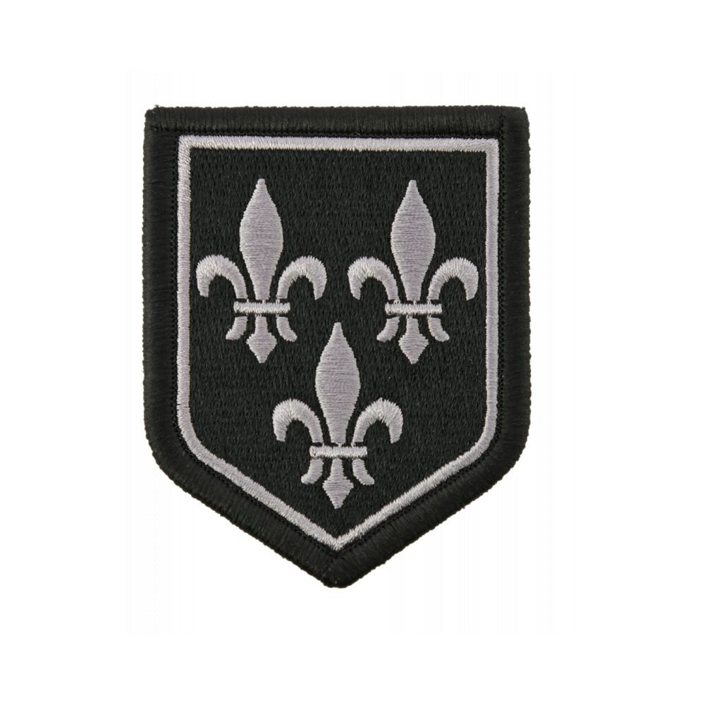 Ecusson RGIF