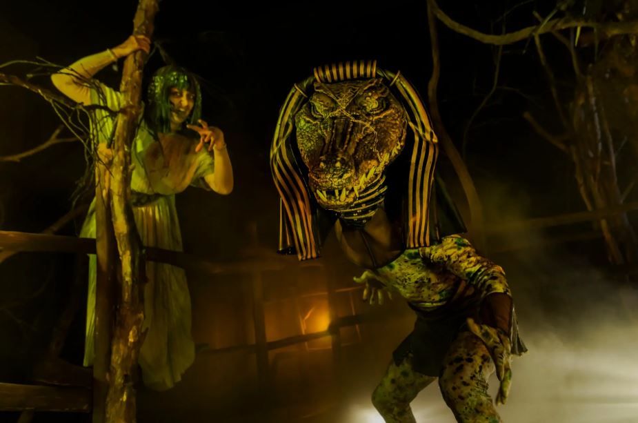 Parc Astérix - nocturne &quot;Peur sur le parc&quot;