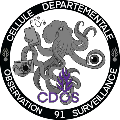 Rondache Cellule Départementale d'Observation et de Surveillance
