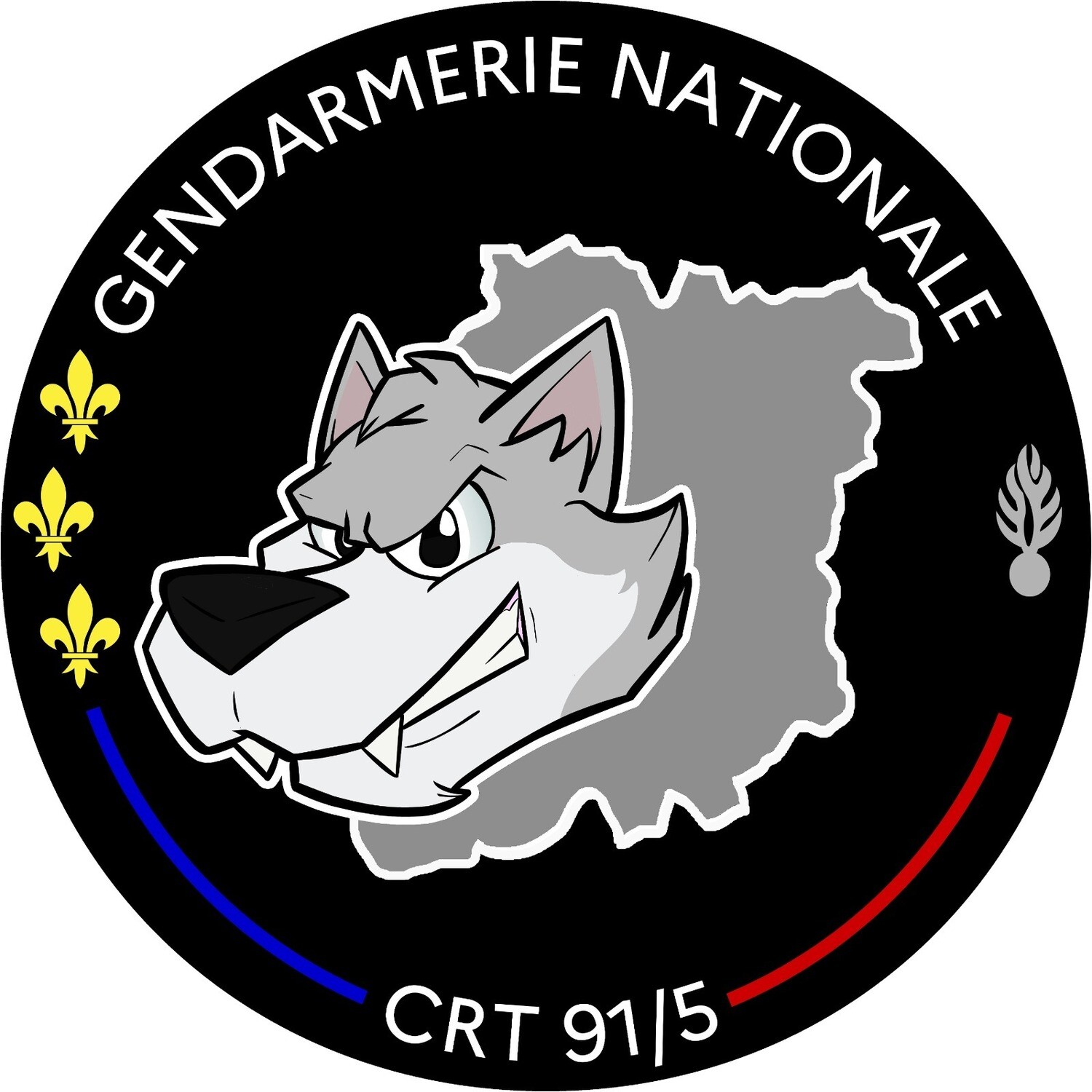Rondache Compagnie de Réserve Territoriale 91/5
