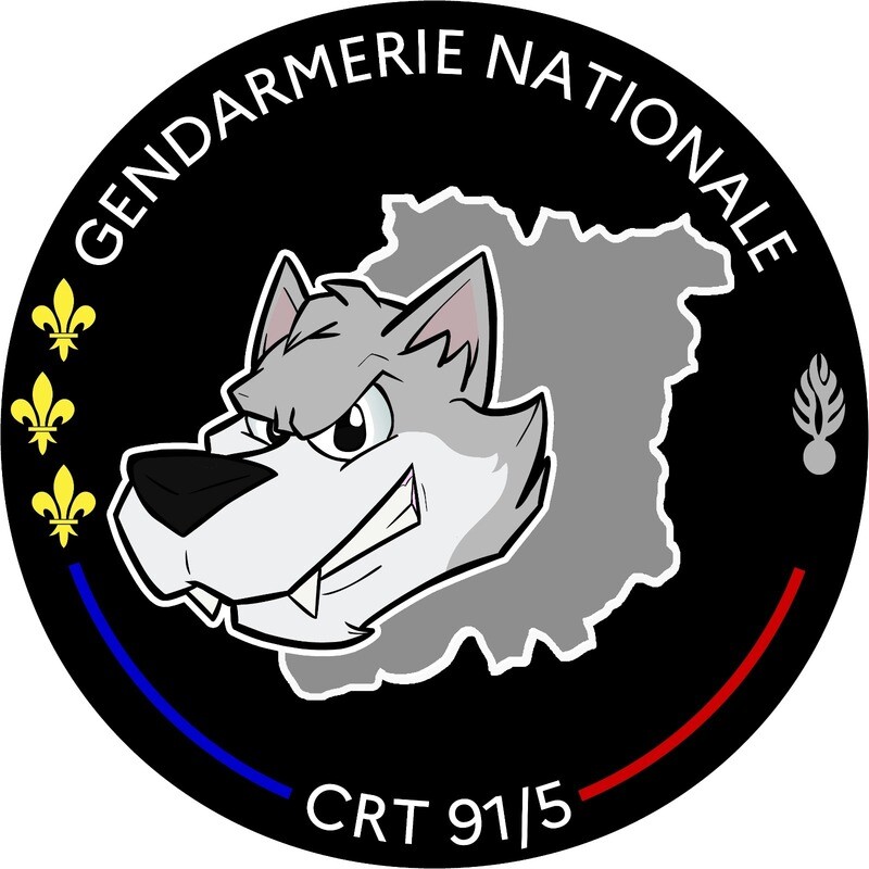 Rondache Compagnie de Réserve Territoriale 91/5
