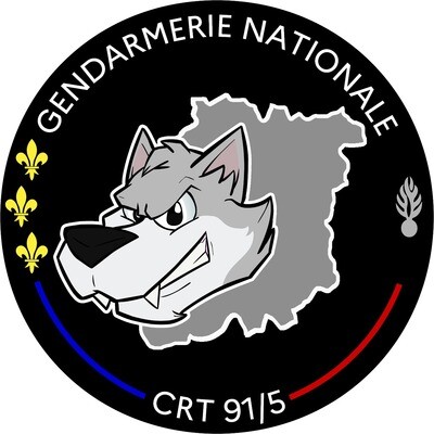 Rondache Compagnie de Réserve Territoriale 91/5