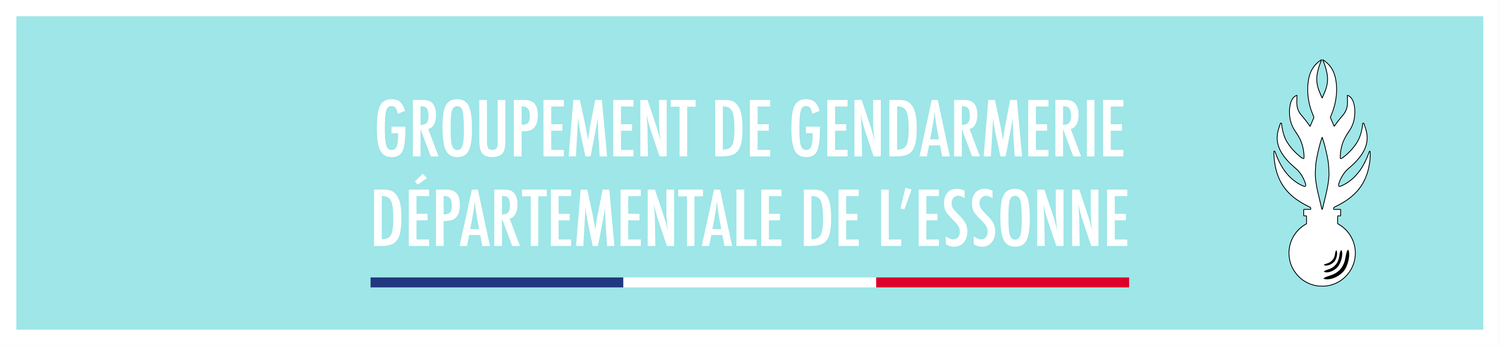 Porte-clé flamme Meeting aérien de Cerny-La Ferté-Alais 2026