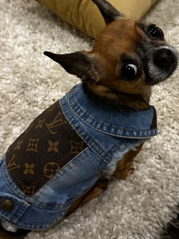 Blue Upcycled Louis Vuitton Dog Denim Jacket Blue Upcycled Louis Vuitton Dog Denim Jacket