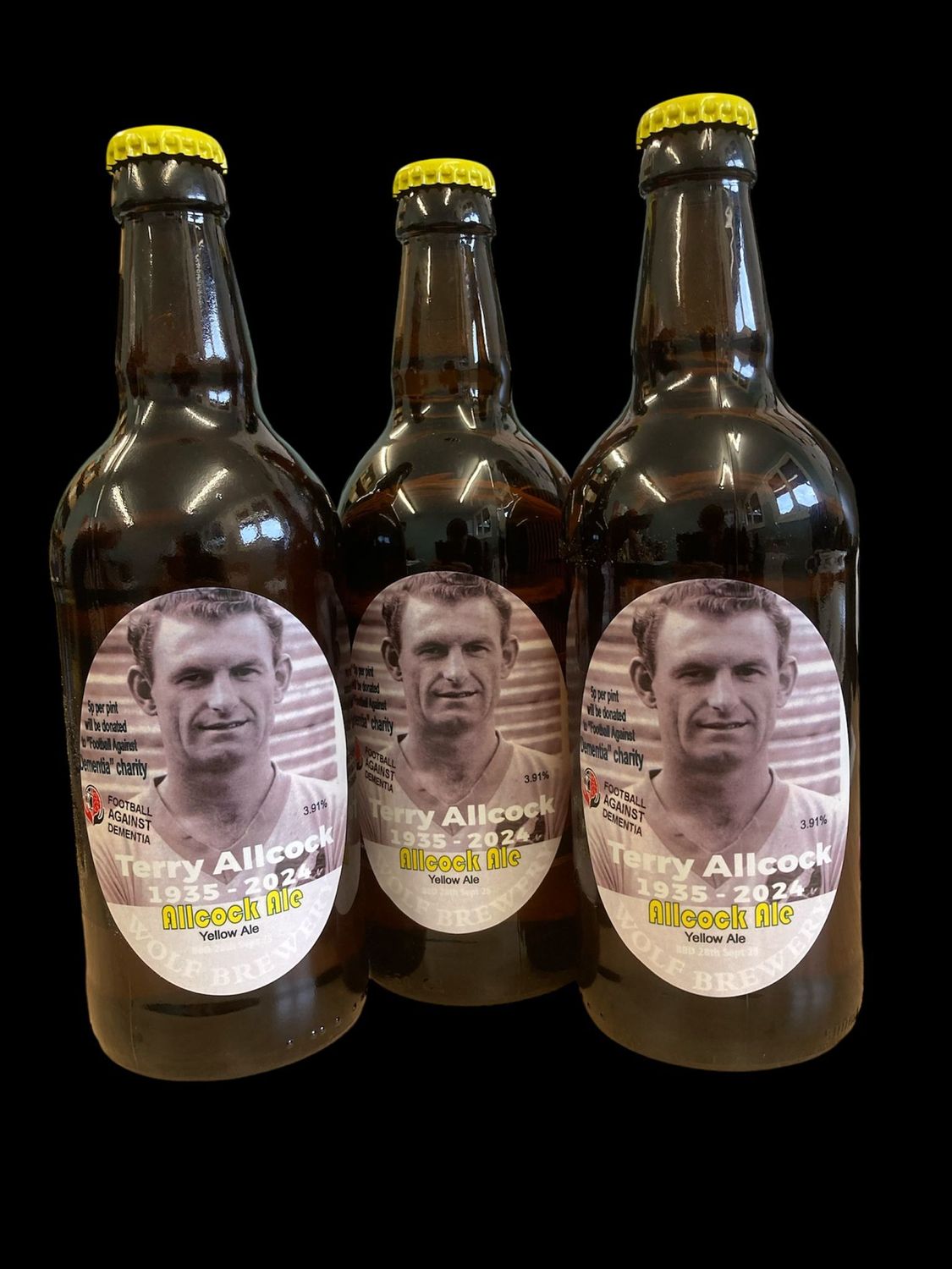 Allcock Ale Case