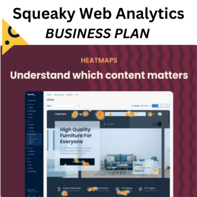 Squeaky Web Analytics Business Plan