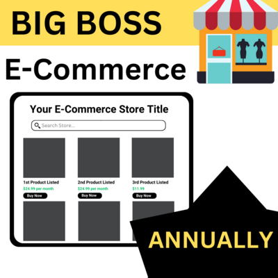 Big Boss E-Commerce Annual Plan