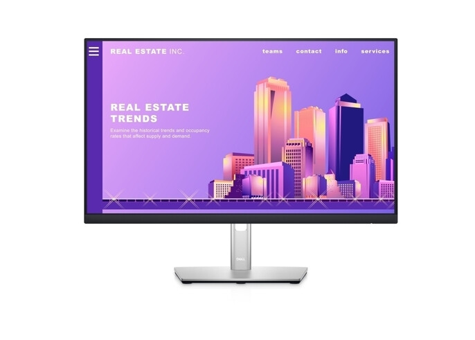 Dell P-Series P2422H 23.8 Inch - Monitor