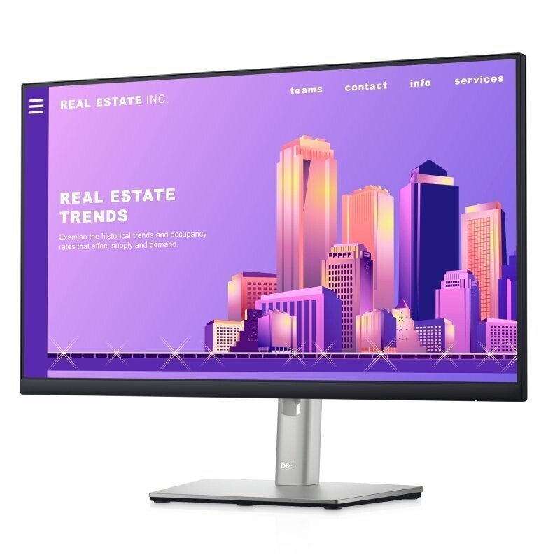 Dell P-Series P2422H 23.8 Inch - Monitor