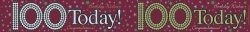 SP- BANNER THE EXPRESSION FACTORY 2.6M HAPPY 100TH