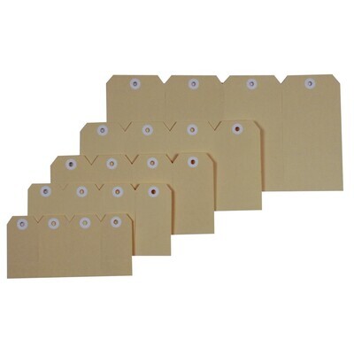 SP- SHIPPING TAGS ESSELTE NO.8 80X160MM BUFF BX1000