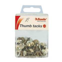 DRAWING PINS ESSELTE SILVER PK100