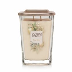 CANDLE YANKEE ELEVATION LARGE CITRUS GROVE