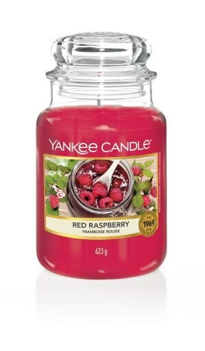 CANDLE YANKEE CLASSIC LARGE JAR RED RASPBERRY