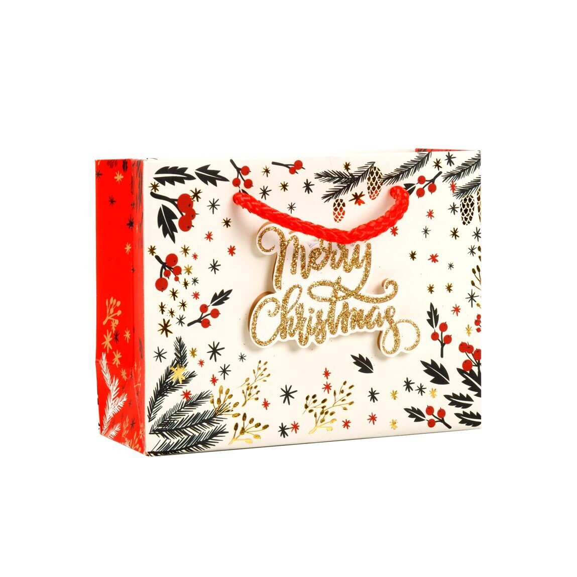 XMAS GIFT BAG 140X110X65MM MODERN FOIL AND GLITTER SMALL