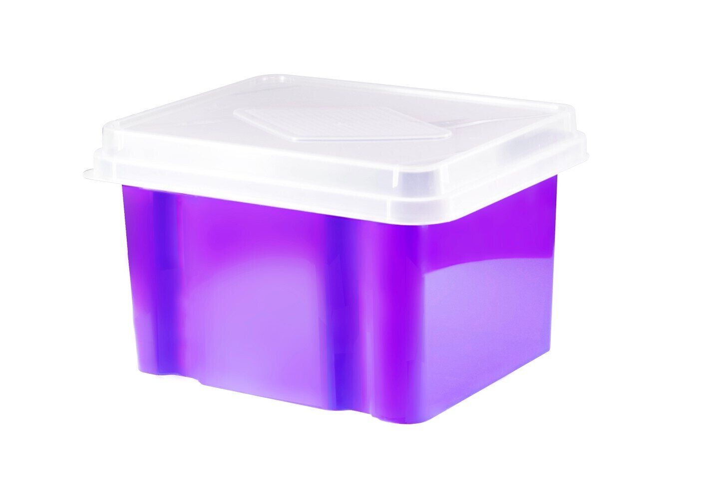 STORAGE BOX ITALPLAST 32L GRAPE