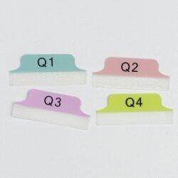 TABS 63.5X25.4MM MARGIN QUARTERS Q1-Q4 PASTEL BLUE/PINK/PURPLE/GREEN PK24