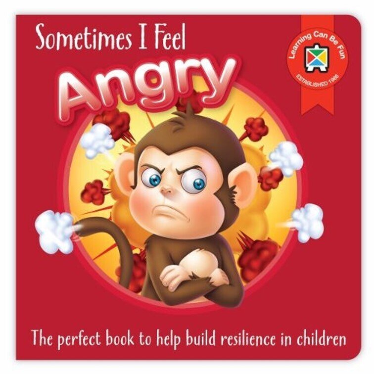 RESILIENCE BOOK LCBF SOMETIMES I FEEL ANGRY BOOK