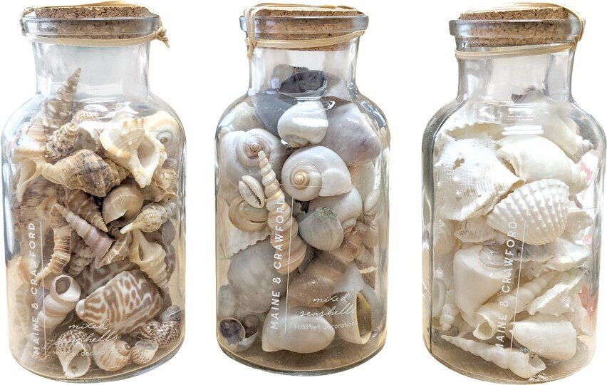 GIFT GNS HAMPTON FARO MIX SEA SHELLS IN GLASS BOTTLE WITH CORK 3 ASSTD
