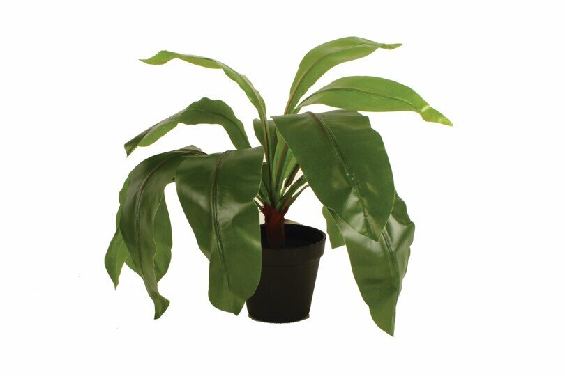 GIFT GNS VINTAGE JUNGLE FERN LEAVES IN PLASTIC POT 50CM