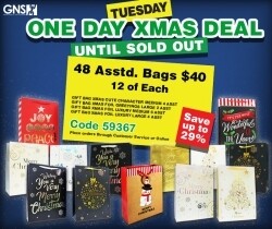 ASSORTED GIFT BAG 48 PACK