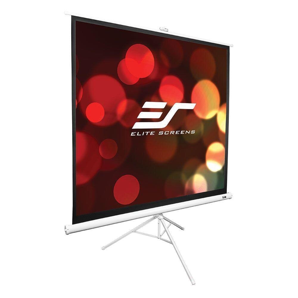 119" TRIPOD 1:1 PORTABLE PROJECTOR SCREEN
