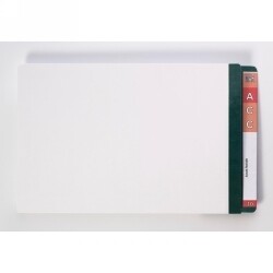 SP- FILE LATERAL AVERY 367X242MM WHITE SHELF WITH DARK GREEN MYLAR TAB PK10