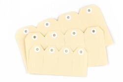 AVERY #4 SHIPPING TAG 108X54 BUFF 1000