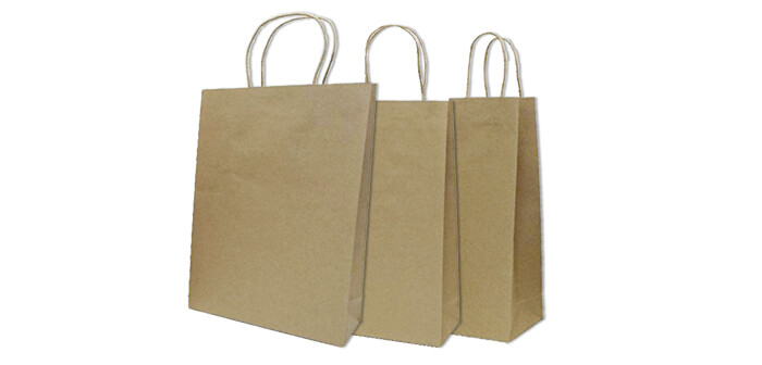 Brown Kraft Triple Bottle Wine Bag