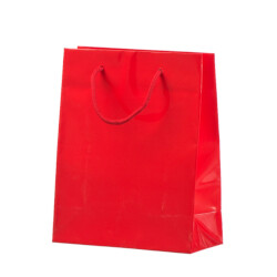 Gloss Laminated Paper Bags
