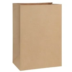 100% Recycled Paper Bags No Handles