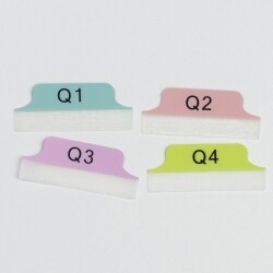 TABS 63.5X25.4MM MARGIN QUARTERS Q1-Q4 PASTEL BLUE/PINK/PURPLE/GREEN PK24
