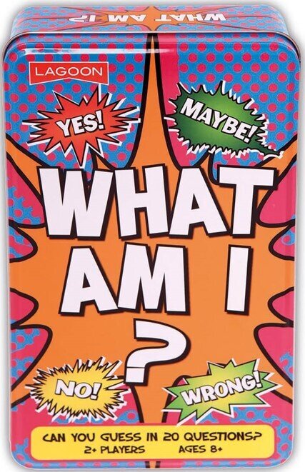 TOY GAME TIN WHAT AM I