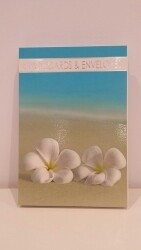 SP- NOTELET SET OZCORP FRANGIPANIS