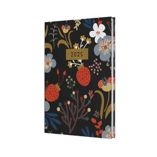 DIARY 2025 COLLINS ENCHANTED A5 EN53.99-25 WTV BLACK