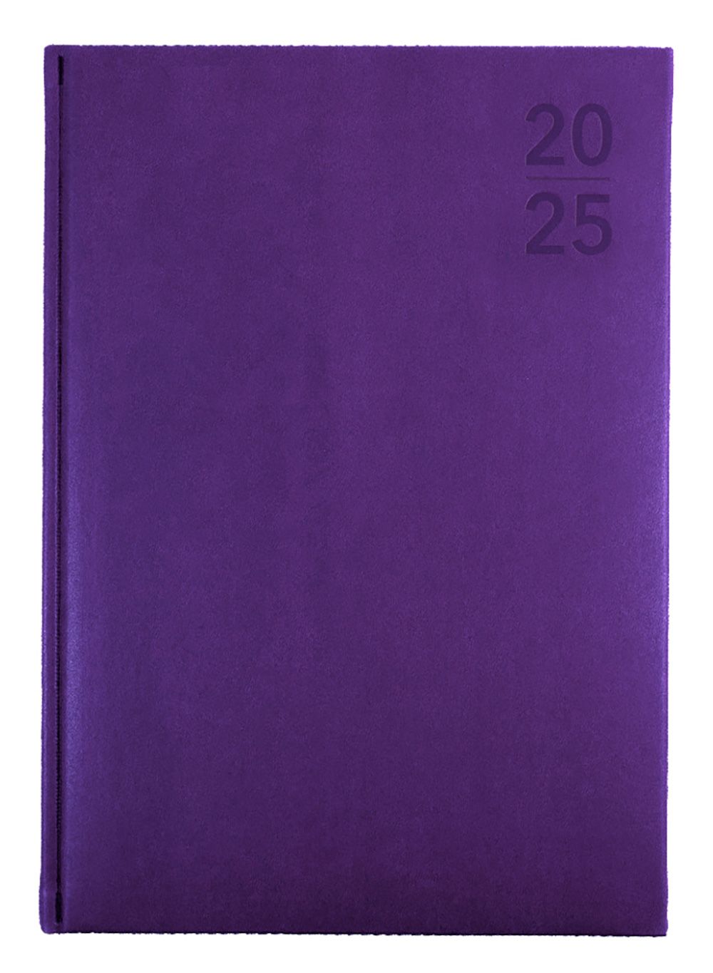 DIARY 2025 DEBDEN SILHOUETTE A4 S4100.P55 1DTP PURPLE