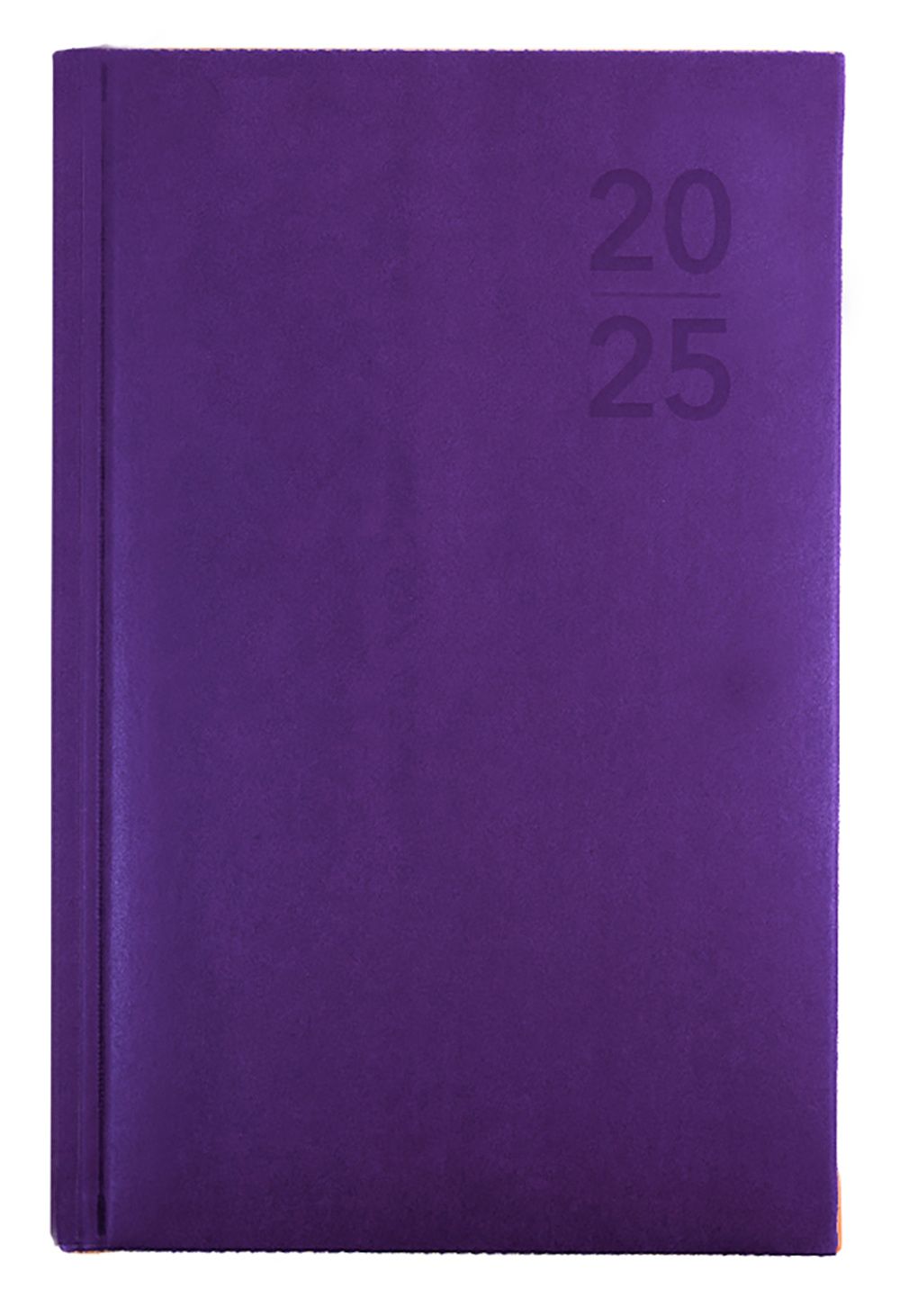 DIARY 2025 DEBDEN SILHOUETTE B7R 125X80MM S6700.P55 WTV PURPLE