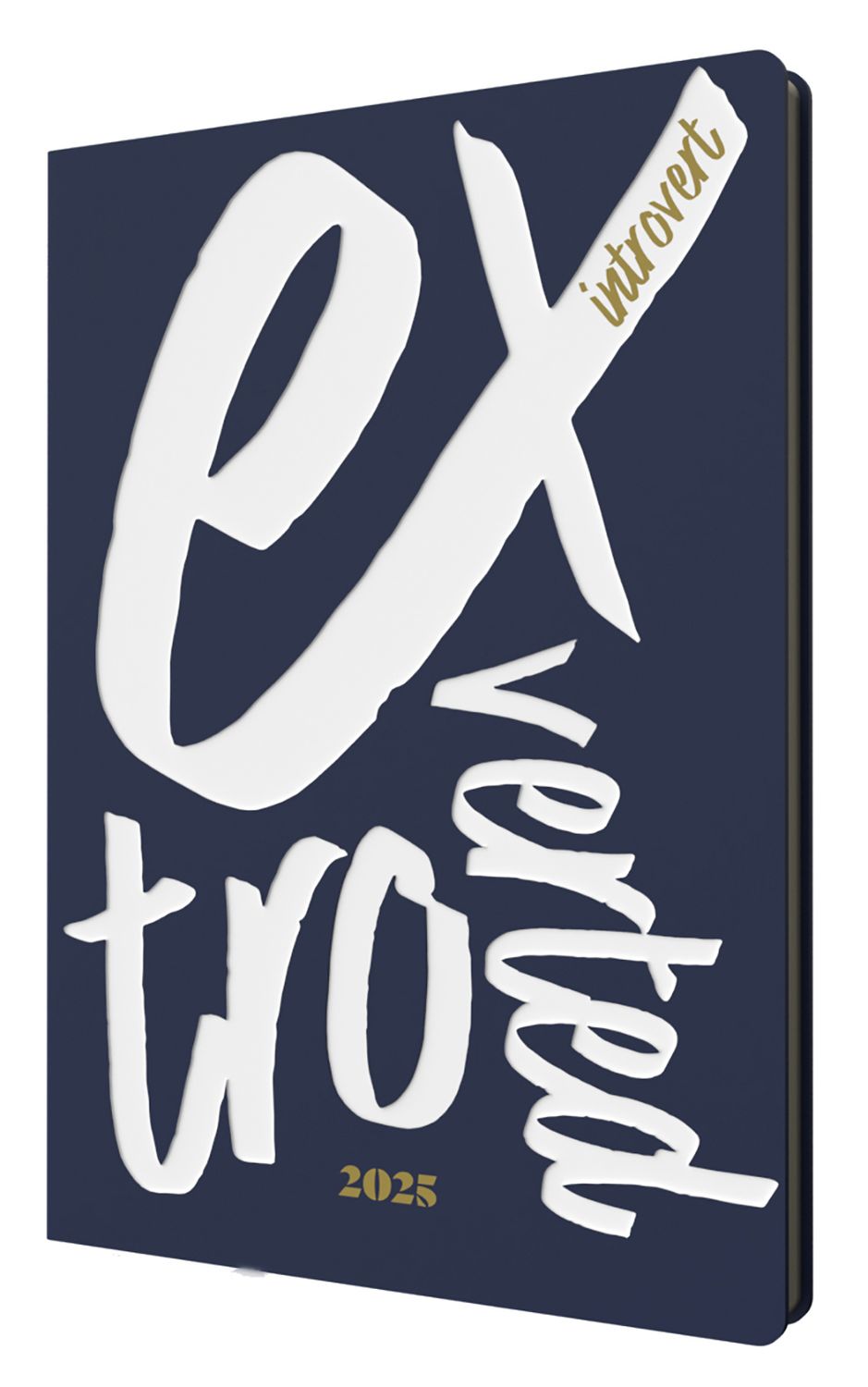 DIARY 2025 COLLINS EXPRESSIVE TYPE A5 E-ET153.59-25 RECYCLED WTV NAVY