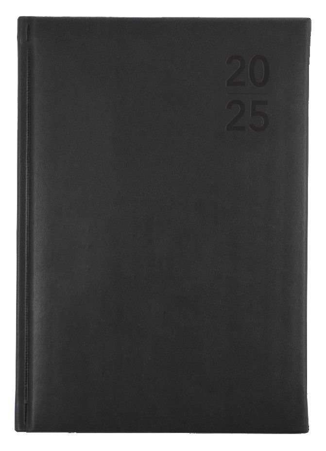 DIARY 2025 DEBDEN SILHOUETTE A5 S5100.P98 1DTP CHARCOAL