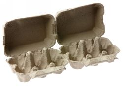SP- CRAFT EGG CARTON EC HYGENIC PK12