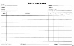 SP- DAILY TIME CARDS ZIONS DTC PK250