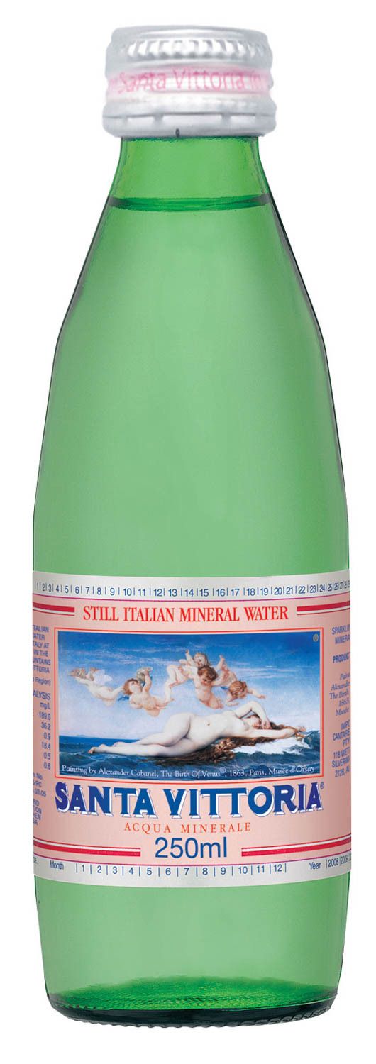 SP- MINERAL WATER SANTA VITTORIA 250ML STILL