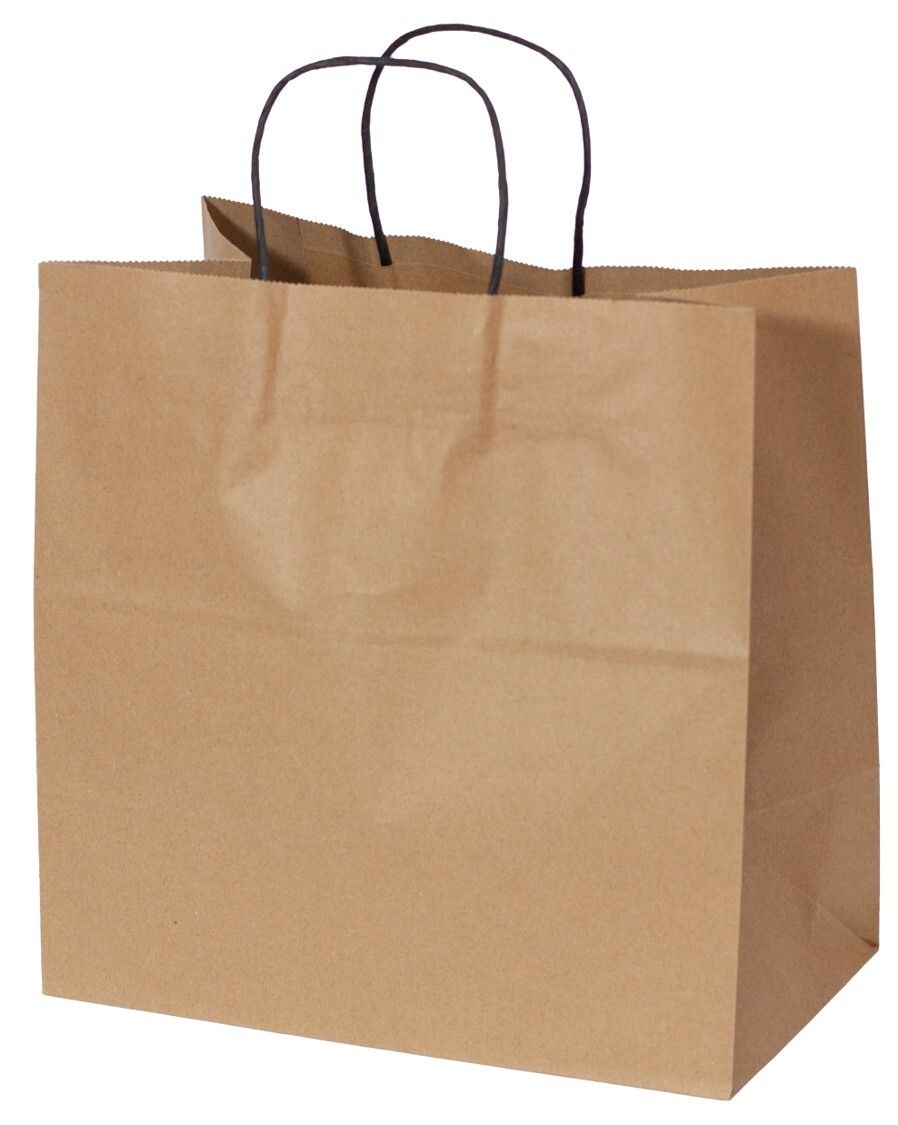 BAG CARRY KRAFT PAPER TWIST HANDLE 300x305x175MM CTN250