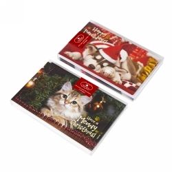 XMAS CARDS 115X177MM TEXTURED FOIL PET ASST BX10